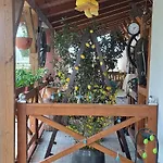 Dom Manipura-zatrzymaj Sie I Odpocznij W Ciszy I Zieleni Villa *