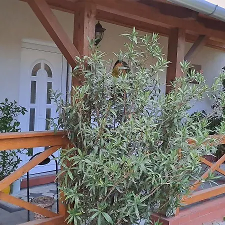 Villa Manipura Szemenyecsörnye