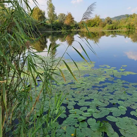 Villa Dom Manipura-zatrzymaj Sie I Odpocznij W Ciszy I Zieleni