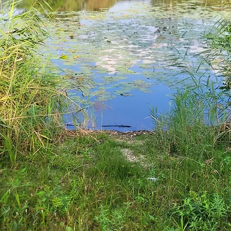 Manipura