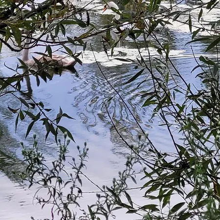 Villa Dom Manipura-zatrzymaj Sie I Odpocznij W Ciszy I Zieleni *