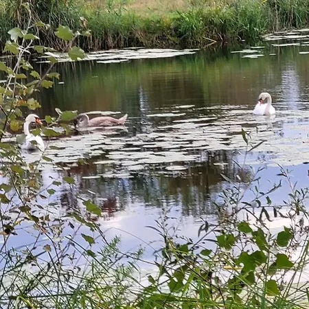 Manipura Szemenyecsörnye
