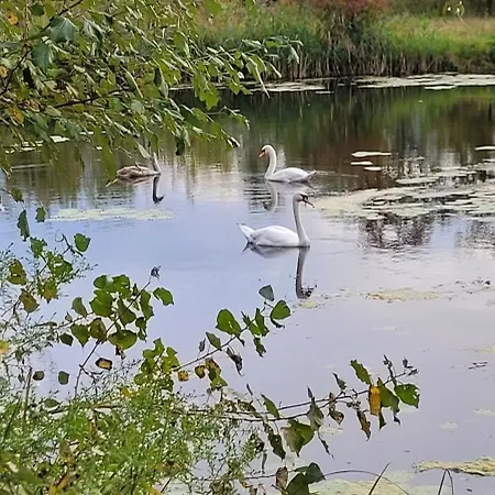 Dom Manipura-zatrzymaj Sie I Odpocznij W Ciszy I Zieleni Villa Szemenyecsörnye