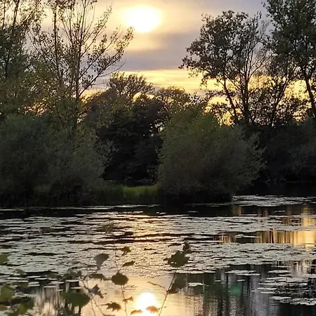 Manipura * Szemenyecsörnye