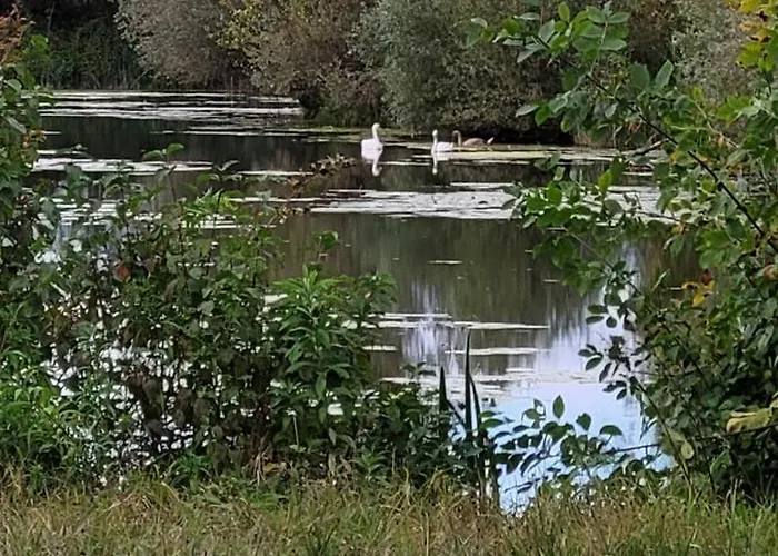 Manipura Villa Szemenyecsörnye